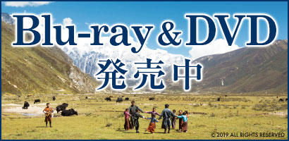 Blu-ray&DVD 発売中